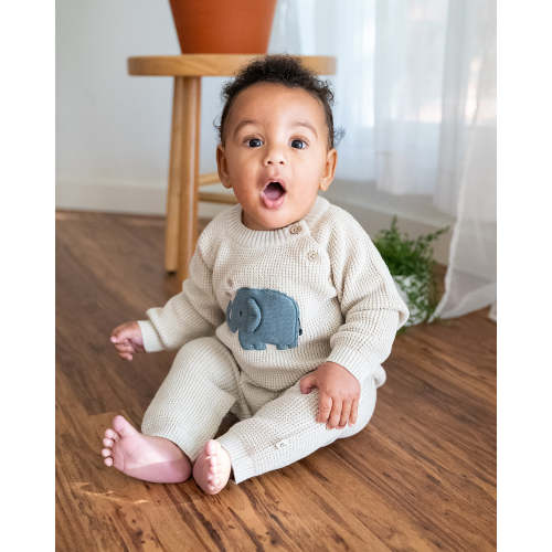 Elephant Jacquard Knit Baby Jumpsuit (Organic)
