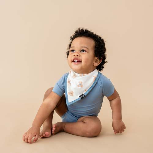 Bib in Teddy Bear