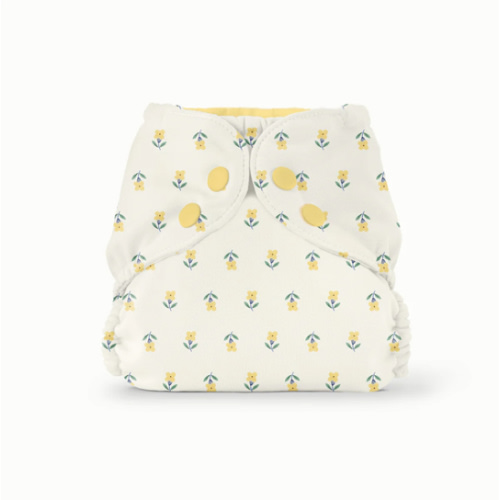 Outer–FW Buds / Two