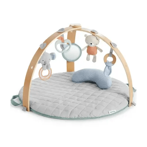 Ingenuity Cozy Spot Reversible Duvet Activity Gym