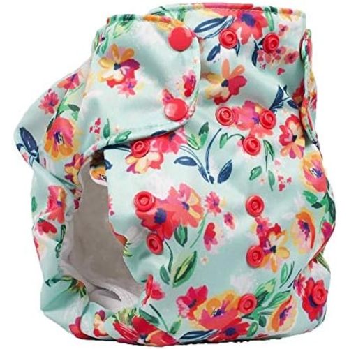 No Prep Organic Cloth Diaper Dream Diaper 2.0