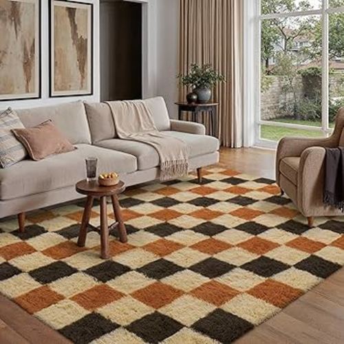 Checkered Rug 5x7 for Living Room, Colorful Modern Shag Rug Super Soft Washable Indoor Fuzzy Carpet Non-Slip Fluffy Rugs for Bedroom Home Aesthetic Decor