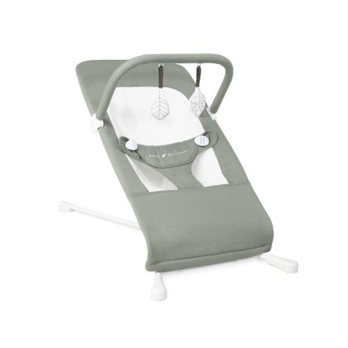 Baby Delight Highland Organic Portable Baby Bouncer - Sage