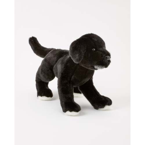Classic Black Dog Puppy