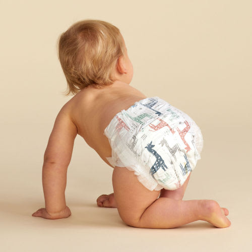 Honest Wetness Indicator Diapers - Plant-Based & Fragrance-Free | Honest