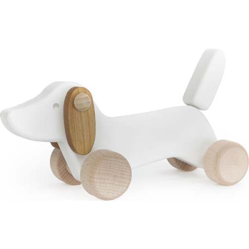 Dachshund Puppy, White - Bajo | Maisonette