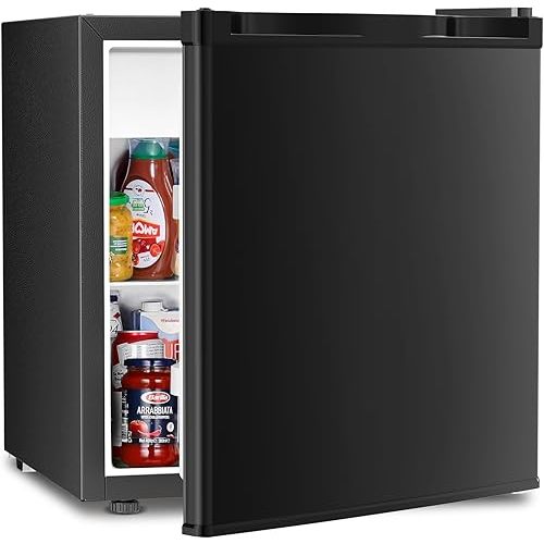 Mini Fridge with Freezer