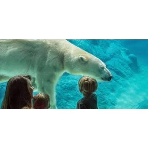 $30 (2 Adult NORTH CAROLINA ZOO tickets, Kids under 2 years free)