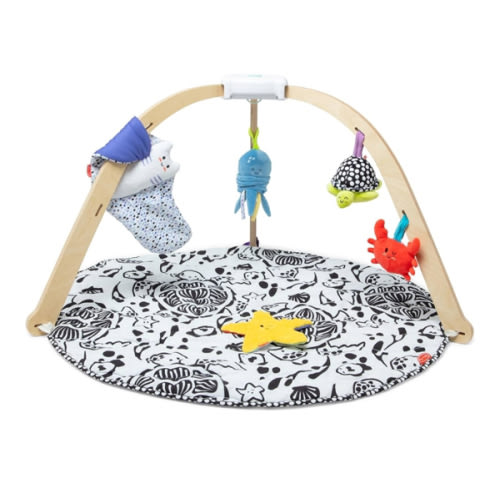 Melissa & Doug Ocean Easy-Fold Wooden Play Gym for Infants, Reversible Mat, 5 Soft Toys, Birth to 9 Months - FSC-Certified
