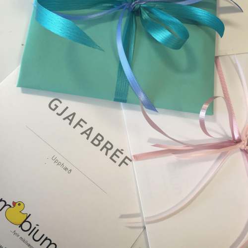 Gift card to the baby store BiumBium