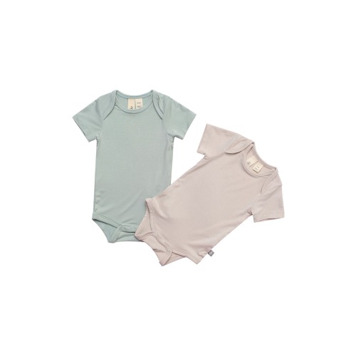 Assorted 2-Pack Bodysuits