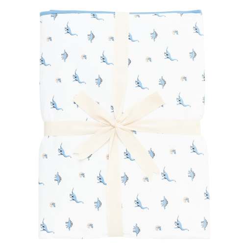 Youth Blanket in Jurassic 1.0