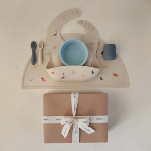 Stage 1 Feeding Kit (Dinos) – Mushie