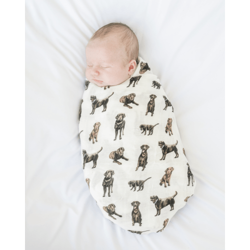 Chocolate Labs - Swaddle