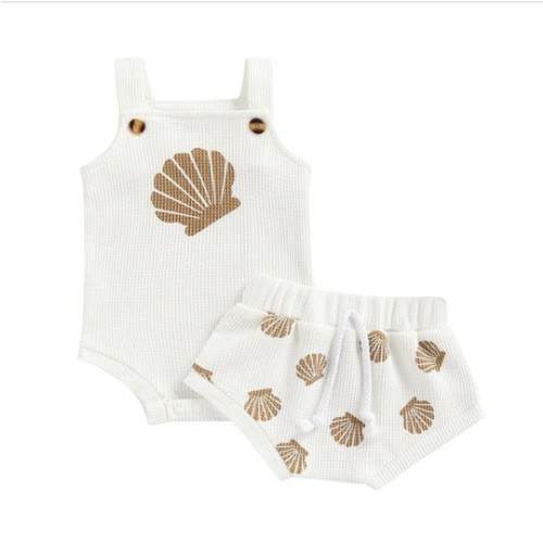 Seashell Set