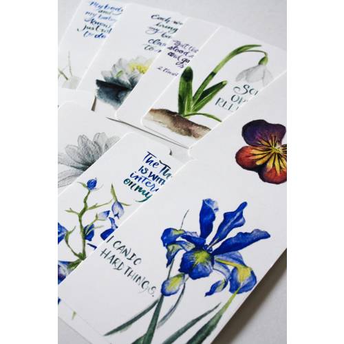 Birth Affirmation Card Set of 9, 4x6 cards, Brush lettering
