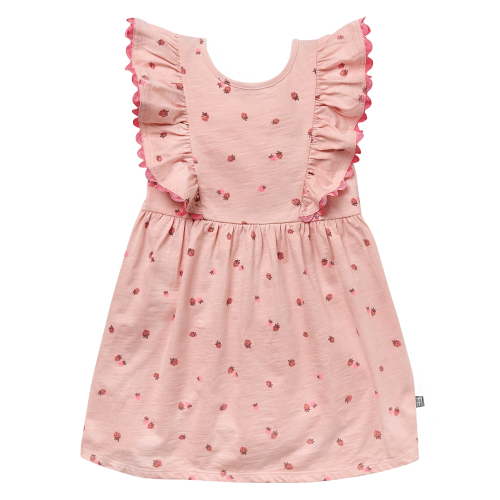 Modern Moments Toddler Girl Ruffle Sleeve Dress with RicRac Trim, Sizes 12M-5T