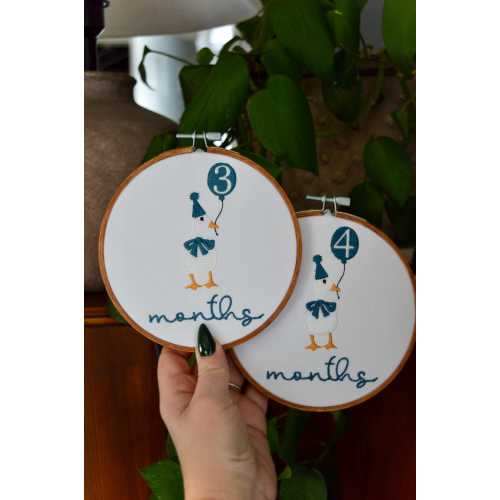 Goose Baby Monthly Milestone Embroidery Hoops, Embroidered Baby Milestone Hoops, Baby Monthly Milestone Goose Hoops, Monthly Baby Photo Prop