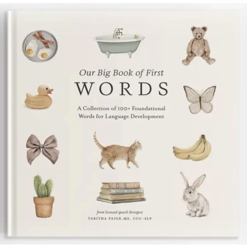 Our Big Book of First Words