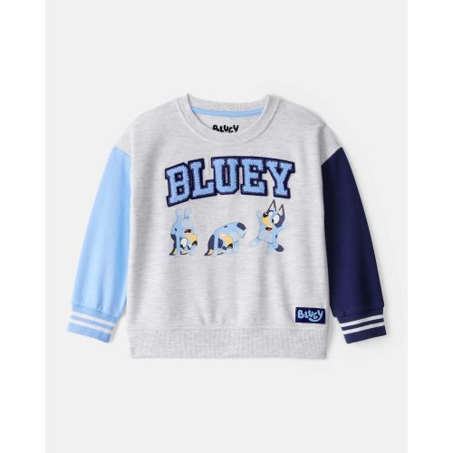 Toddler Boy Bluey Colorblock French Terry Sweatshirt - Grey - OshKosh | Carter's