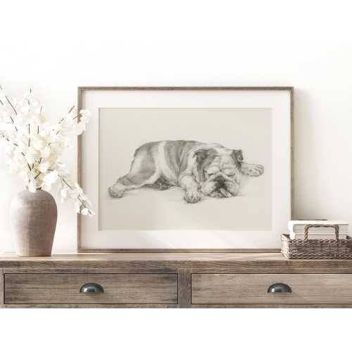 English Bulldog Fine Art Print -Bulldog Sketch by Ethan Harper, Home Decor, Nursery Decor, Gift for Dog Lovers, Wall Art Illustration