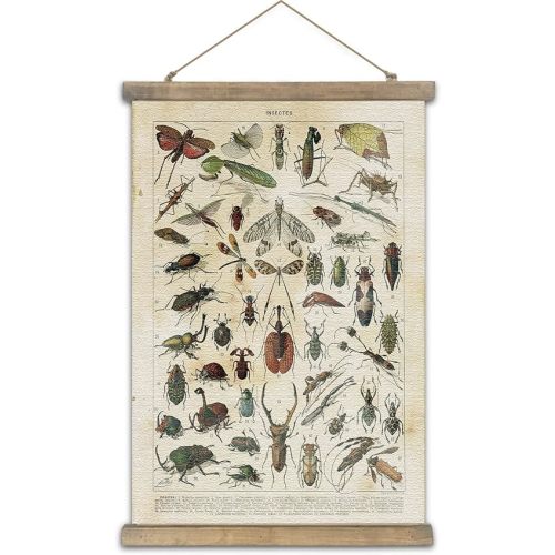 SHOXREM Vintage Poster,Rustic Art Prints, Retro Style of Wall Hanging for Living Room Office Classroom Bedroom Playroom Apartment Decor. (Insects Entomology 1Panels, 16“ x 24”)