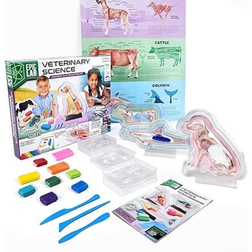 ArtSkills Epic Lab Vet Kit for Kids, Animal Anatomy Science Kit for Kids 8+ with Modeling Clay