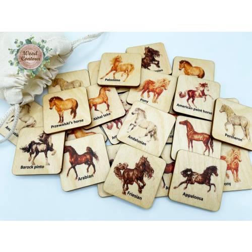 Wooden Montessori Horses memory game/ Homeschool Kindergarten Preschooler educational learning activity/ matching cards game