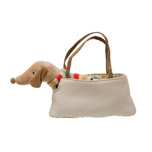 Dachshund in Carrier | Madison's Niche