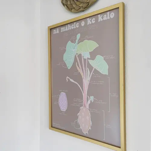 Nā Māhele o ke Kalo Poster — kahua aina