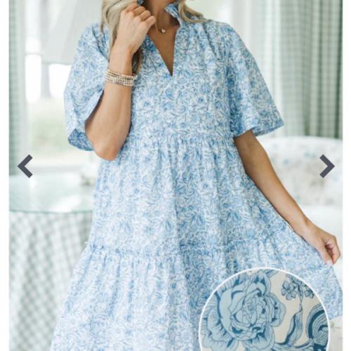 NURSING COLLECTION: Feeling Your Best Blue Toile Babydoll Dress