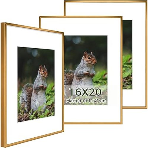 Golden State Art - 16x20 Metal Picture Frames with Mat - Display 11x14 Photo or 16x20 Poster - 16 x 20 Inch Aluminum Frames with Real Glass - Gallery Wall Frame Set of 3 - Bronze