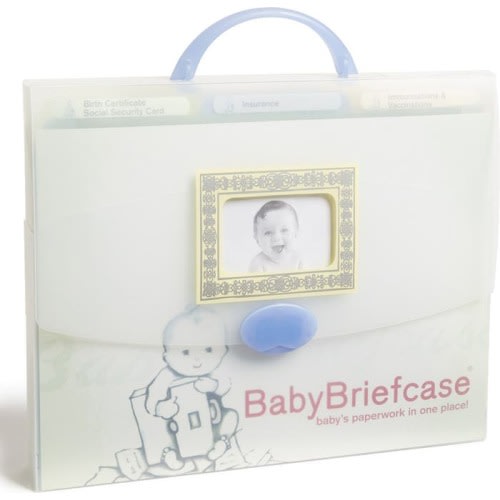 BabyBriefcase® Document Organizer, None