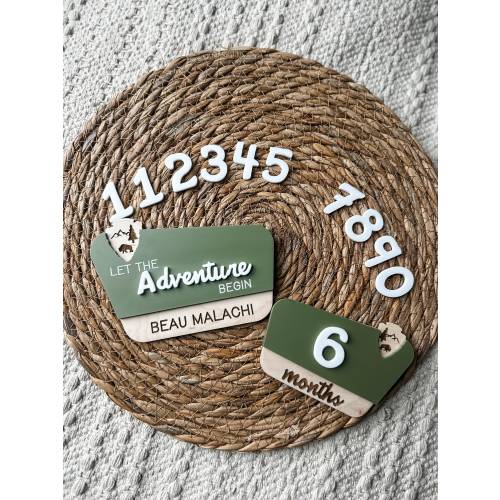 National Park Birth Monthly Milestones | Let the Adventure Begin | Milestone Markers | Baby Shower Gift | Woodlands Nursery Decor