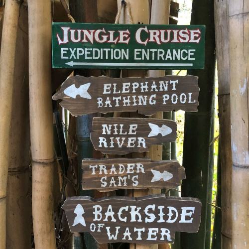 Cruising the Jungle Expedition Dock Sign, Solid Wood and Paint, Hand Crafted, High Quality, Unique, Custom, Wall and Bar Decor Great Gift!