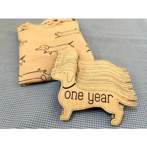 Baby Monthly Milestone Wooden Plaque, Dachshund Markers, Wood Age Plaques for Photo Props, Dog Nursey, Baby Shower Gift Doxie, Wiener Dog - Etsy
