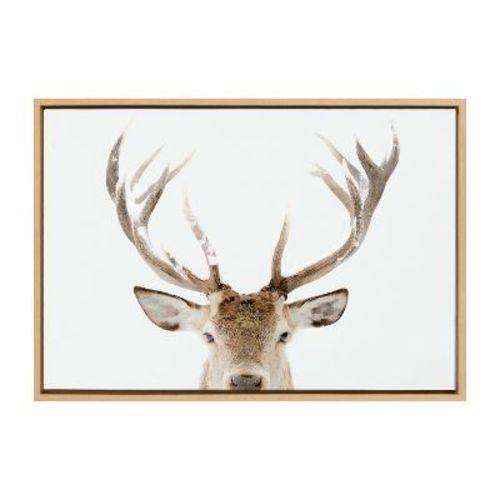 Kate & Laurel All Things Decor 23"x33" Sylvie Stag Peekaboo Framed Canvas Wall Art By Amy Peterson Art Studio Natural Snowy Deer Portrait
