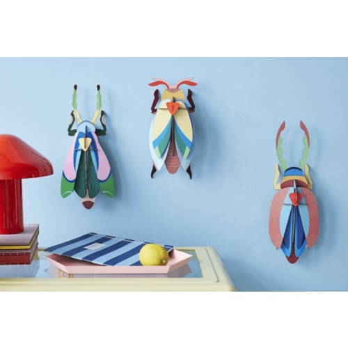 Beetles - Studio ROOF