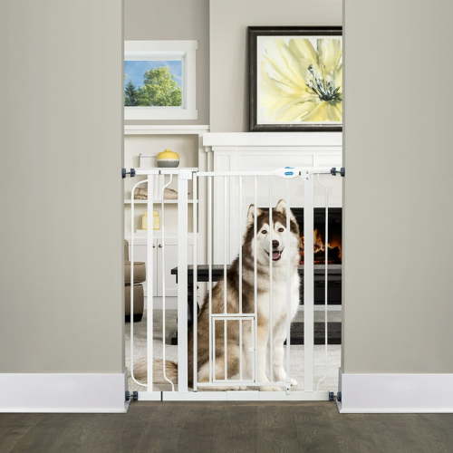 Carlson Pet Products Extra Tall Walk Through Pet Gate, 36" H x 29"-36.5" W, with Pet Door, Includes 4" Extension Kit, 4 Pack Pressure Mount Kit and 4 Pack Wall Mount Kit, White