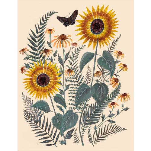 Sunflower and Ferns - Print