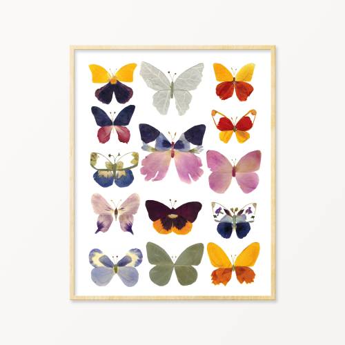 Pressed Flower Art Butterfly Print, Butterfly Home Decor Wall Art, Butterflies Poster