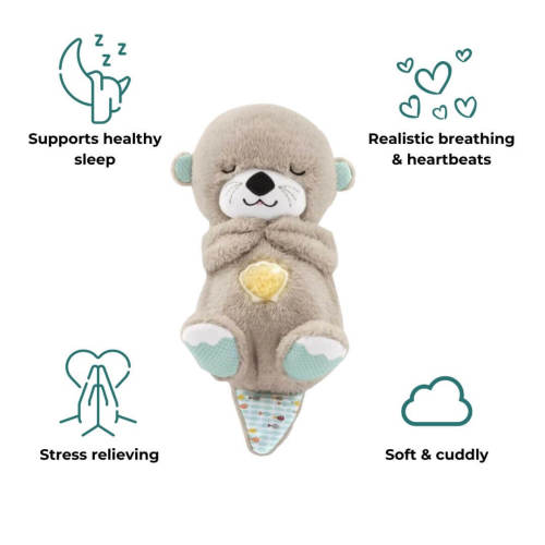 The Dreamy Otter – ALLENDE