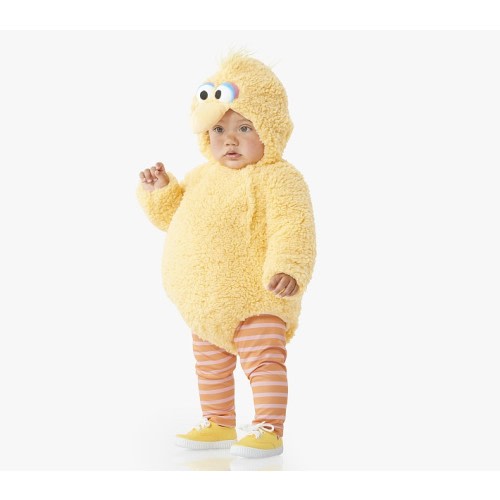 Baby Sesame Street® Big Bird Costume
