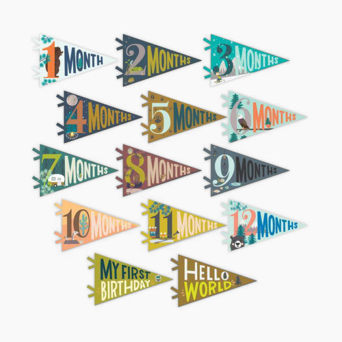 Lucy Darling Petit Milestone Pennant - Little Camper