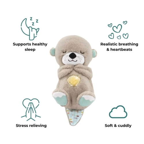 The Dreamy Otter – ALLENDE