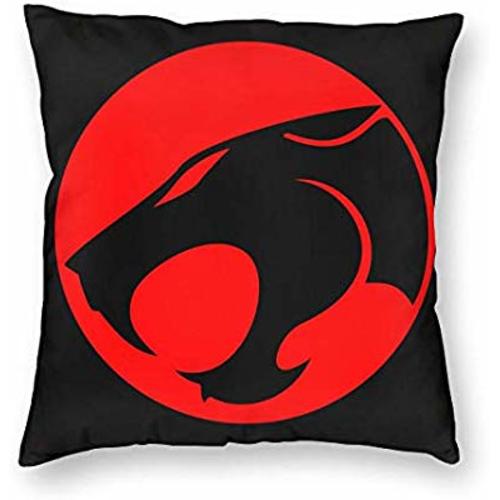 LIUXUELISTORE Thundercats Throw Pillow Covers for Couch Sofa Bed 18"x18"