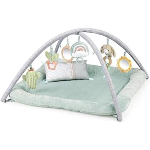 Ingenuity Calm Springs Plush Activity Gym for Baby, Ultra-Soft Premium Mat, Toys