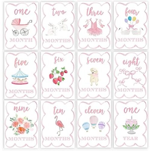 Watercolor Monthly Milestone Cards - Baby Milestone Cards Set, Monthly Markers for for Newborn to 12 Months, Photo Prop, Baby Shower (Pink)