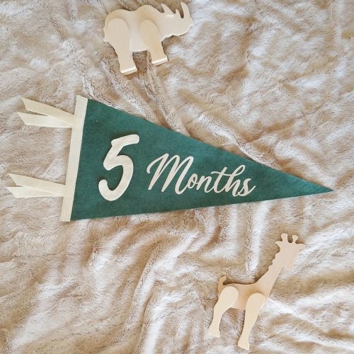Soft Felt Baby MONTHLY MILESTONE Pennant, Milestone Marker Photo Prop Kit | Newborn-21 Months | 9x18 inch Handmade Flag