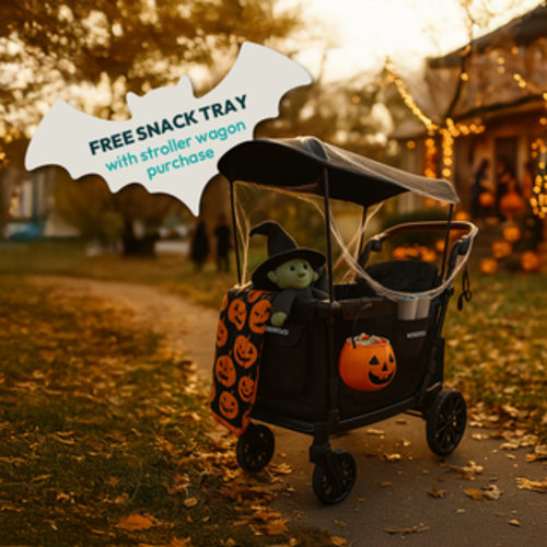 W2 Elite Pro Double Stroller Wagon (2 Seater) – WONDERFOLD